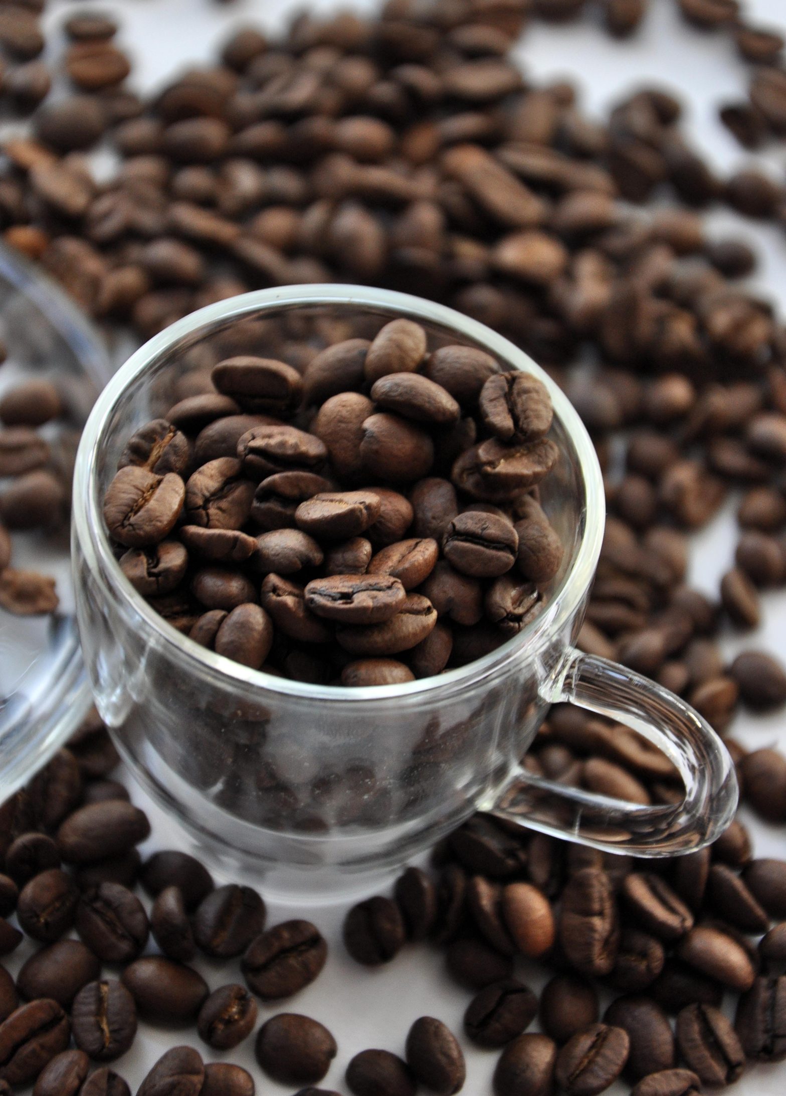 Billiger Kaffee – die Wahrheit