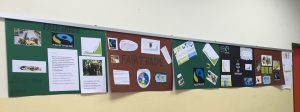 Plakate final