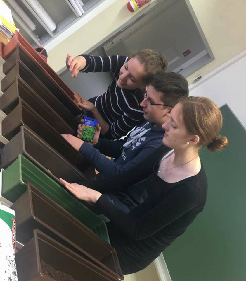 Projekt ,,Ab ins Kisterl‘‘